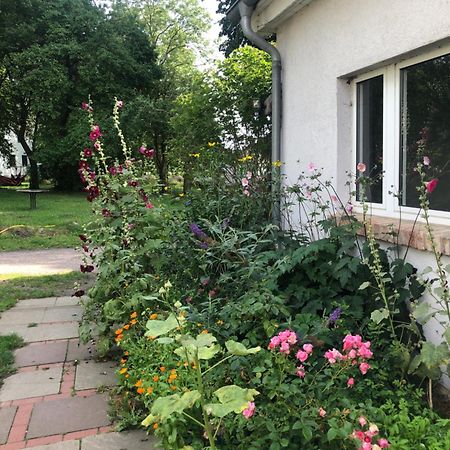 Cabana Sommerhaus und Appartement in Zweedorf Ostsee Kamer foto